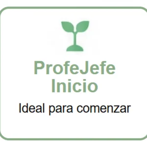 ProfeJefe Inicio
